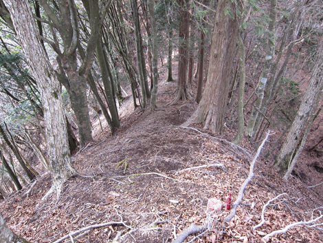 20190205hike (168)